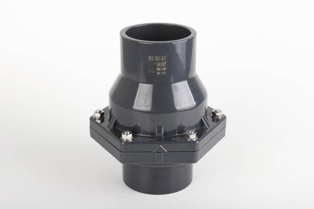 松山湖管委会翻板式止回阀