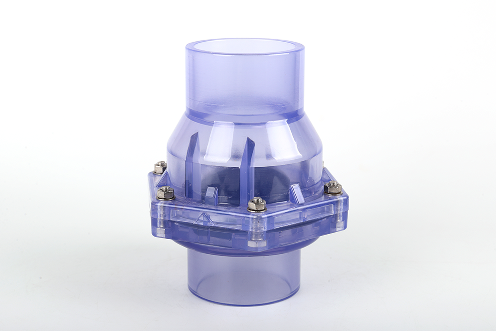 松山湖管委会透明翻板式止回阀